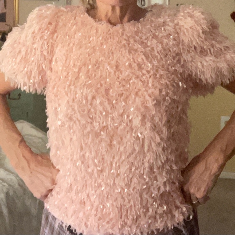 NWT Eye-popping Pink Blush Fuzzy Feather Crop Top Womens English Factory XS / SM